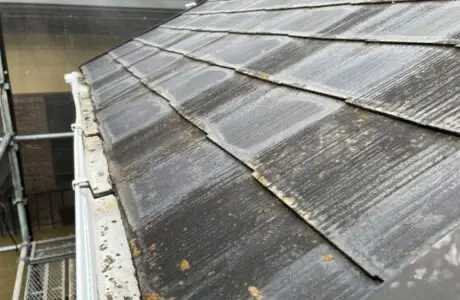 屋根にカビやコケが生えている